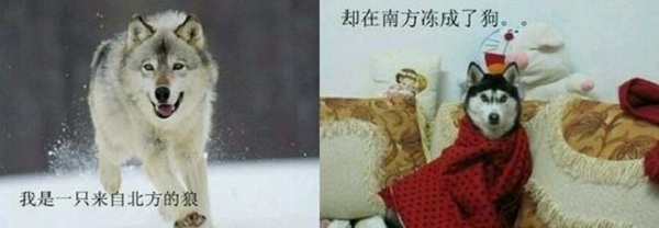 �Ϸ����ɹ�